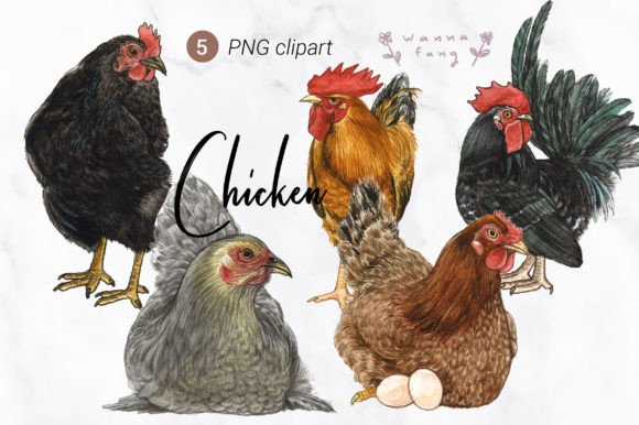 Chicken Watercolor Animal Clipart: A Charming Design Asset for Creative Projects