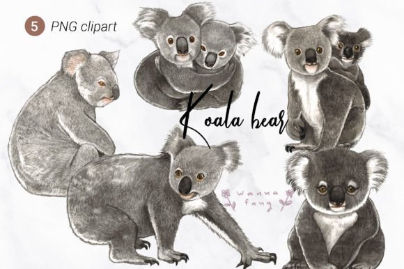 Koala Bear Watercolor Animal Clipart: A Designer's Guide