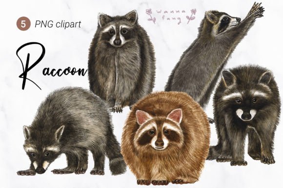 Raccoon Watercolor Animal Clipart: Unleash Your Creative Projects